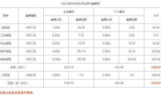 杭州社保怎么交